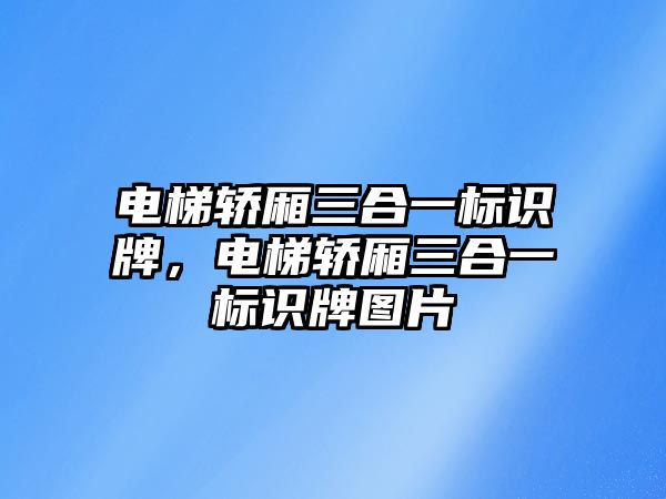 電梯轎廂三合一標(biāo)識牌，電梯轎廂三合一標(biāo)識牌圖片