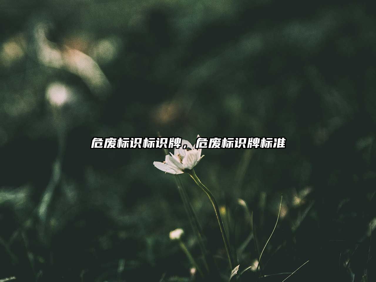 危廢標(biāo)識(shí)標(biāo)識(shí)牌，危廢標(biāo)識(shí)牌標(biāo)準(zhǔn)