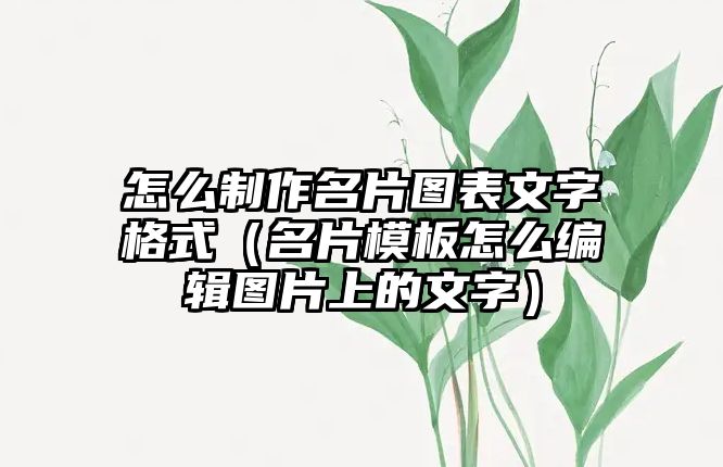 怎么制作名片圖表文字格式（名片模板怎么編輯圖片上的文字）