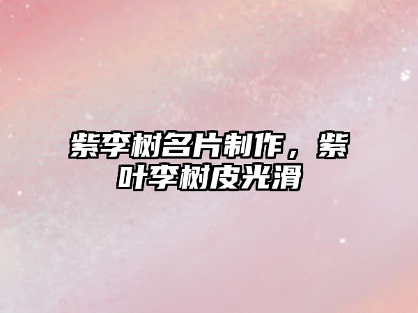 紫李樹名片制作，紫葉李樹皮光滑