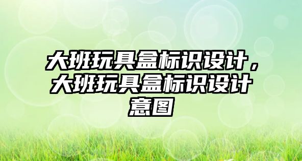 大班玩具盒標識設計，大班玩具盒標識設計意圖