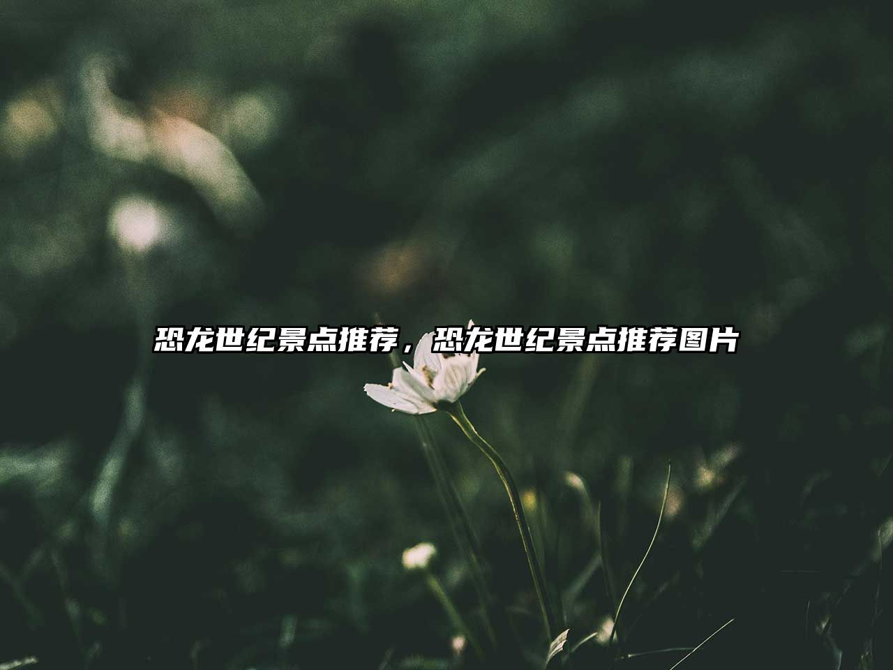 恐龍世紀(jì)景點(diǎn)推薦，恐龍世紀(jì)景點(diǎn)推薦圖片